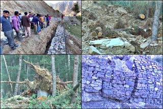 People protest on deodar trees cutting in Chaupal