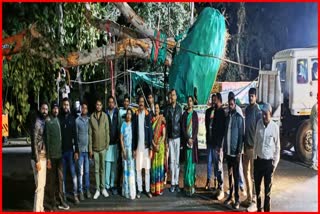 khandwa save tree initiative