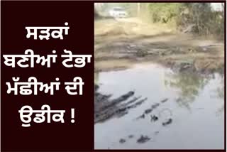 The condition of roads in the Sultanwind area east of Amritsar is bad