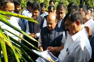 The CM inspected the groundnut plantations