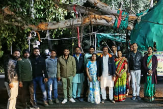 MP Khandwa 75 year old peepal tree relocated to prevent axing
