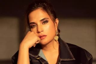 Richa Chadha Controversial Tweet