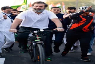 Rahul Gandhi riding cycle Etv Bharat