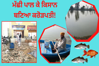 farmer is making a profit Fisheries work