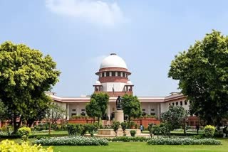 supreme court