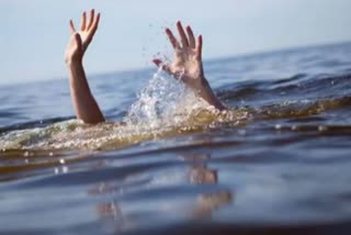 Two Indian students drown in US lake