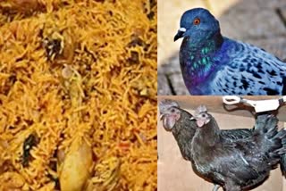 Mumbai Crime of Pigeon Biryani