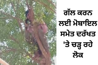 MOBILE SIGNAL ON TREE IN ALWAR VILLAGERS CLIMB UP FOR NETWORK CONNECTION