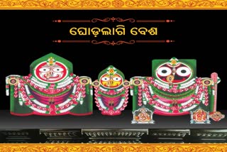 ghodalagi ritual of lord jagannath at sri mandir