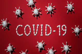 Gut microbes disturbed by COVID-19 infection, antibiotics: Research