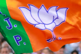 Five BJP candidates have cumulative assets worth more than Rs 1200 crore in Gujarat Assembly Polls 2022