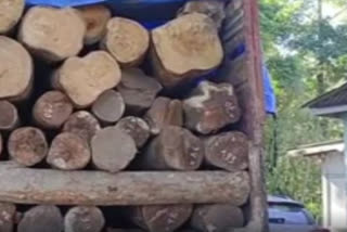 Smuggling timber seized in Manikpur