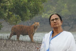 Mamata Banerjee announces Sundarbans as new district in West Bengal