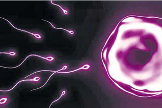 How to increase sperm count in men?