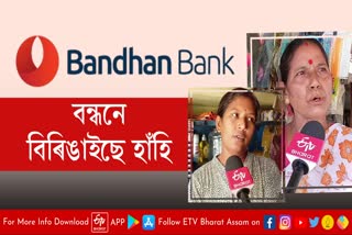 Bandhan bank loan