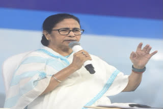 WB CM Mamata Banerjee announces Sundarbans new district