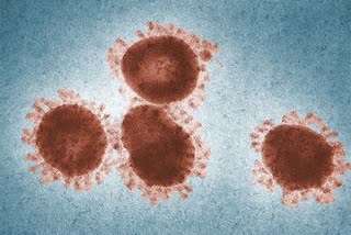 old-zombie-virus-revived-by-scientists-in-russia