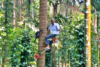 coconut tree climbing machine