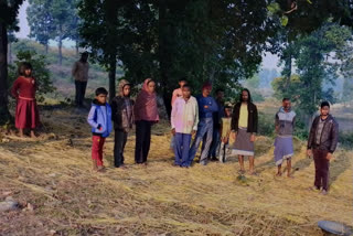 Herd of elephants in Giridih