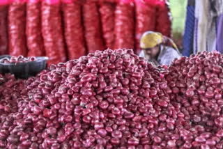 Farmers who sold 205 kg of onions got a profit of only 8 rupees in Bengaluru market Karnataka