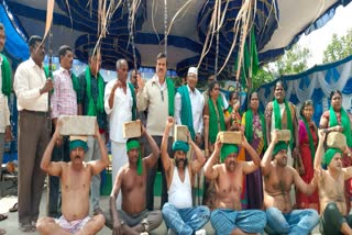 sugarcane growers entered the 9th day protest