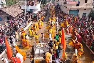 sagar devotees walk on burn coals