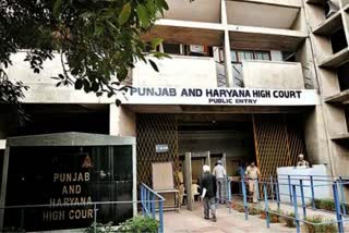 punjab haryana high court