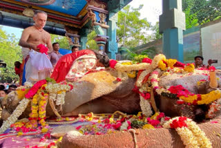 Lakshmi, the 'divine' elephant of Puducherry temple dies of cardiac arrest