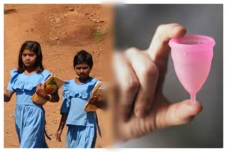 Sanitary Pads Provided In Schools