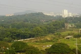 Cutting Trees For Aarey Car Shed