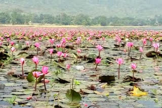 Dimna Lake of Jamshedpu