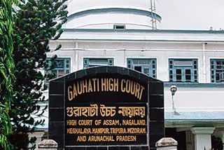 Guwahati High Court heard probe into illegal recruitment in Fisheries Corporation