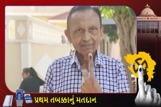 લાખો રૂપિયાનો ખર્ચ કરી NRI વતનમાં આવ્યા વોટિંગ કરવા, આ છે લોકશાહીના મહાપર્વની ઉજવણી