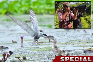 malda-journalist-captures-over-700-bird-snaps-of-total-1350-species