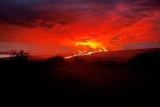 Viewers flock to watch glowing lava ooze from Hawaii volcano  Hawaii  Mauna Loa volcano eruption  Mauna Loa volcano  നദിപോലെ ഒഴുകി ലാവ  മൗണ ലോവ അഗ്നിപർവതം  മൗണ ലോവ