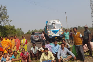 Villagers block road after elephants create ruckus