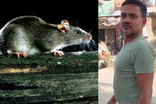 Postmortem Report reveals new facts in Rat Murder Case of Badaun