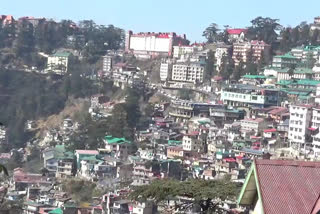 house tax defaulter in shimla