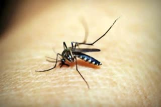 Malaria vaccine to come soon