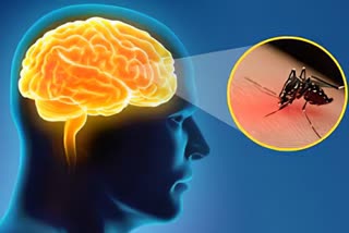 Japanese encephalitis