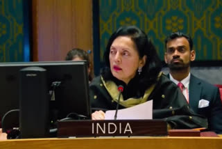 India made every effort to bridge different voices within UN body