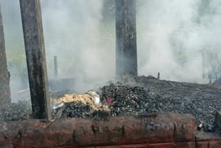 Panskura Crackers Blast