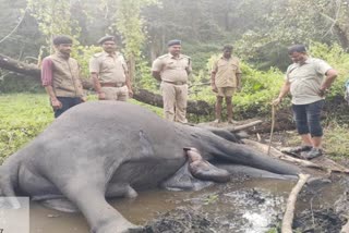 Elephant death in Nagarahole Tiger Reserve