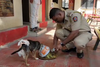 वर्गणी गोळा करून पोलिसांनी वाचवले श्वानाचे प्राण