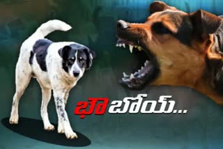 Street dogs in telangana