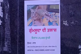 owner put a reward of 25 thousand rupees