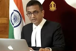 Constitution of India is a feminist document: CJI DY Chandrachud