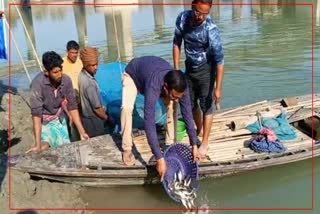 Pradhan Mantri Matsya Sampada Yojana in Barpeta