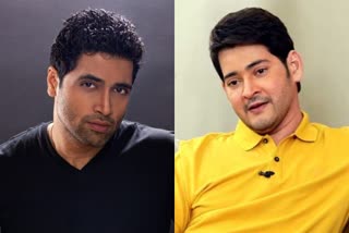 Mahesh babu adavisesh