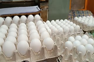 Egg Price Increased